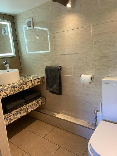 a bathroom with a shower with a sink and a toilet at Thatch Cottage, East Boldre nr Beaulieu and Lymington in Brockenhurst