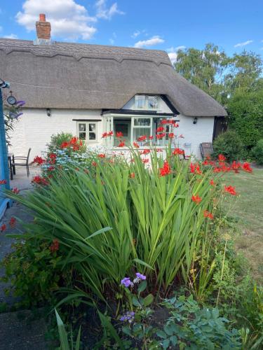 a house with a bunch of flowers in front of it at Thatch Cottage, East Boldre nr Beaulieu and Lymington in Brockenhurst