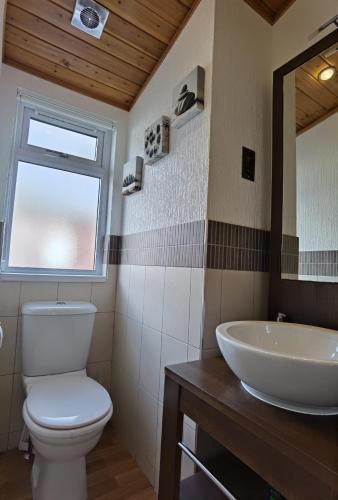 a bathroom with a toilet and a sink at Bonnie Banks Lodge Ardlui in Ardlui