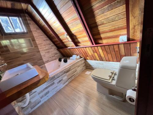 カンポス・ド・ジョルドンにあるVilla Vintage Campos - Piscina e opções de suites com hidromassagemのバスルーム(トイレ、洗面台、バスタブ付)