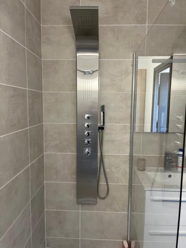 une douche avec pommeau de douche dans une salle de bain dans l'établissement T1 proche aéroport et plage, à Ajaccio