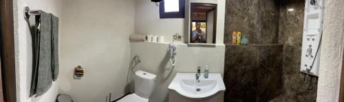 a bathroom with a white sink and a toilet at Wineyards Salin in Turda