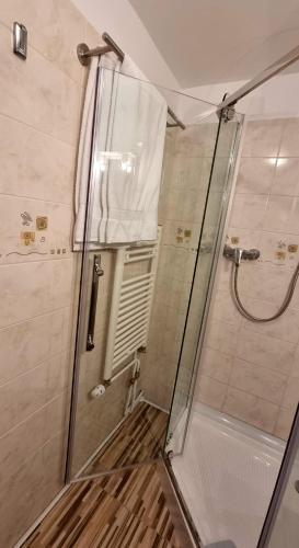 a shower with a glass door in a bathroom at Pensiunea Zodiac in Timişoara
