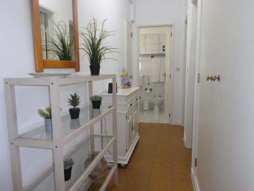 a bathroom with a white shelf with plants on it at Ténis Mar F in Albufeira