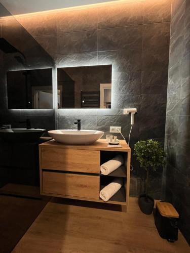 een badkamer met een wastafel en een spiegel bij Unique Apartment Katowice City Center in Katowice