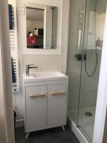 a bathroom with a sink and a shower at Maisonnette Nous tous à Saint Marc Sur Mer in Saint-Nazaire