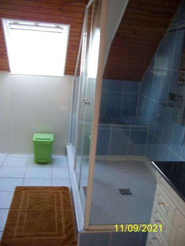 une douche avec une porte vitrée dans une salle de bain dans l'établissement La Salamandre, à Écouflant