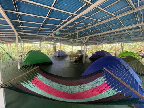 a group of tents with umbrellas in a room at Corcovado Adventures in Drake