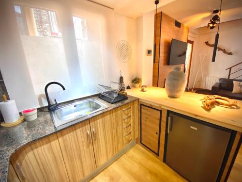 a kitchen with a sink and a counter top at CAL DOMÈNEC RIALP - Dúplex con encanto - Se admiten mascotas in Rialp