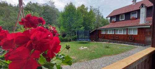 una casa con un patio con flores rojas delante de ella en La cabana bunicului, en Sibiu