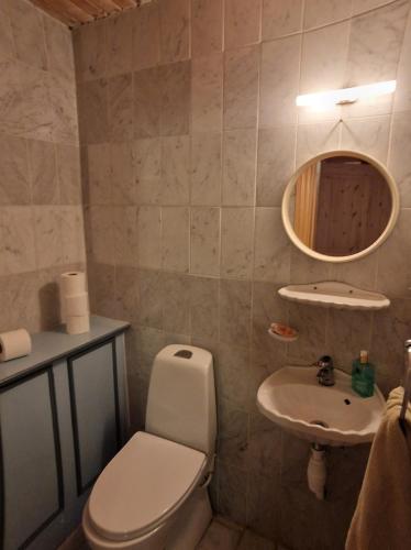 Trandafir Guesthouseにあるバスルーム
