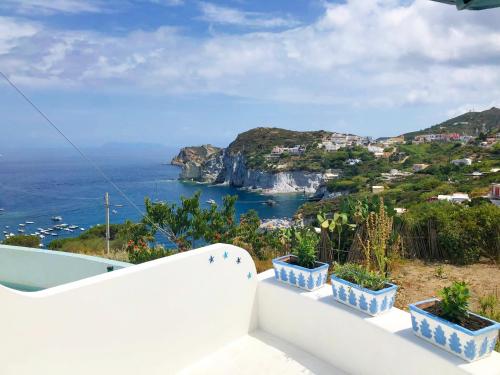 Φωτογραφία από το άλμπουμ του Maridea - Acquamarina σε Ponza