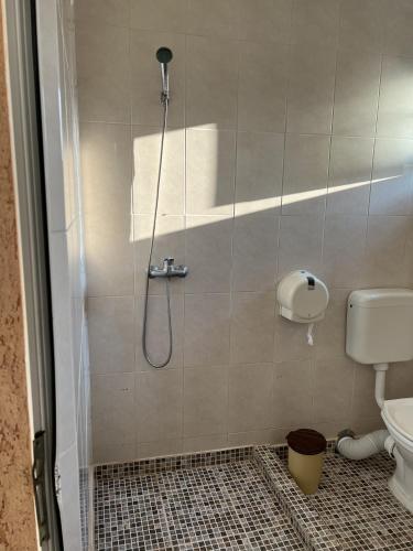 a shower in a bathroom with a toilet at Hotel Monte Carlo in Piteşti