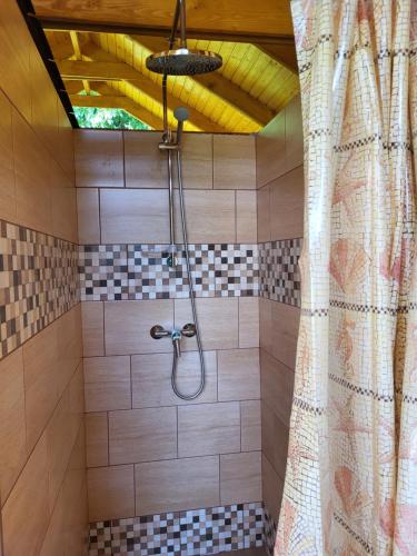 y baño con ducha y cortina de ducha. en Cseresznyés Vendégház en Szomolya