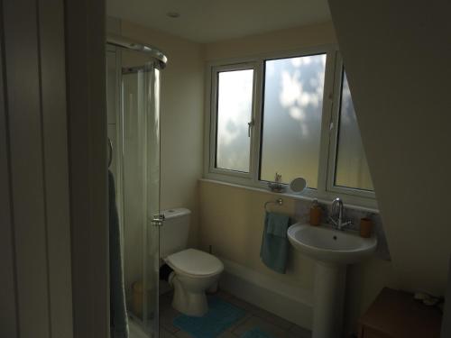 a bathroom with a toilet and a sink and a window at The Shed @ Stares Farm Cottage in Shedfield