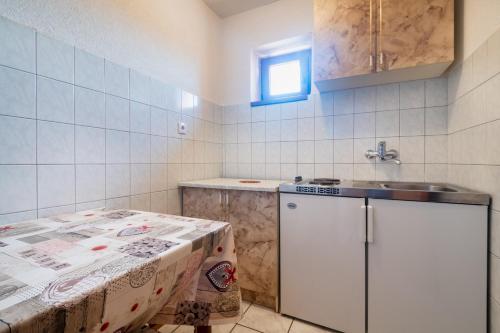 Η κουζίνα ή μικρή κουζίνα στο Apartments MIRA
