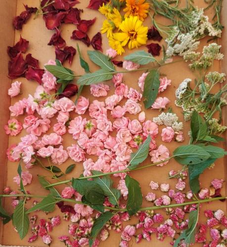 a bunch of flowers on a wooden table at Natural Cottage Glamping Eco-Tiny House in Škocjan