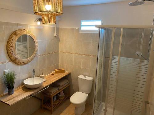 uma casa de banho com um WC, um lavatório e um espelho. em Appartement cosy & calme en Rez de villa em Saint-François
