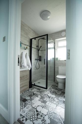 a bathroom with a shower and a toilet at Half Door House in Dingle