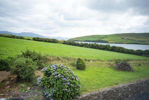 a green field with flowers and a body of water at Half Door House in Dingle