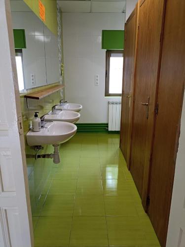 Vonios kambarys apgyvendinimo įstaigoje Albergue de Siresa