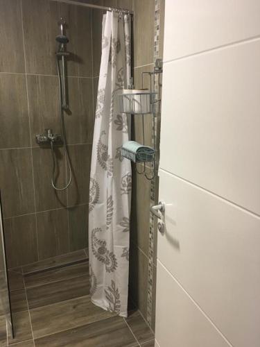 a shower with a shower curtain in a bathroom at Apartments SARA in Slatine