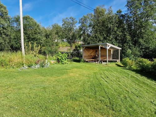 a house in a field with a grass yard at Gamtunet Lyngen in Svensby