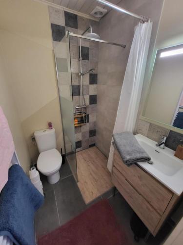 a bathroom with a toilet and a sink and a shower at Logement proche de Bordeaux, route des Châteaux in Ludon-Médoc
