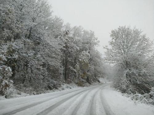 a snow covered road with trees on either side at Villa Ria in Flámbouron