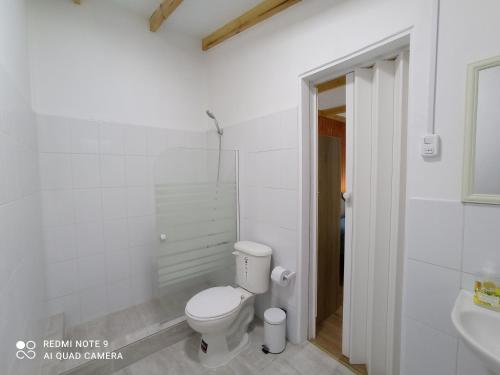 a white bathroom with a toilet and a sink at Loft Tongoy Peninsula sin estacionamiento in Coquimbo