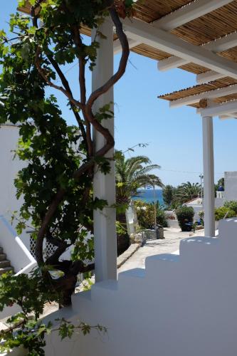 Fotografie z fotogalerie ubytování ARK Tinos v destinaci Agios Ioannis