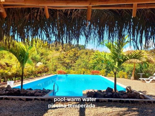 Swimming pool sa o malapit sa Cabañas Cerro Verde Lodge y Spa
