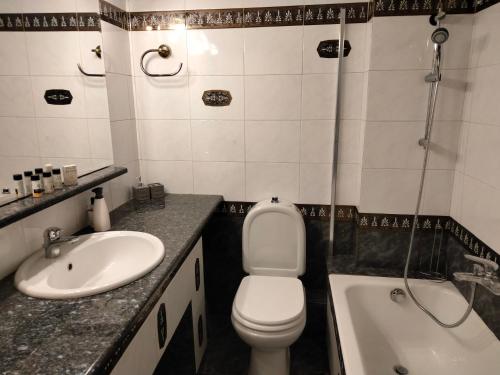 La salle de bains est pourvue de toilettes, d'un lavabo et d'une douche. dans l'établissement AcropolisCozyStay, à Athènes
