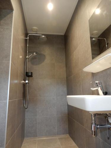 y baño con ducha y lavamanos. en Recreatieappartement BoerdeRijlst - De Winkel, en Sint Nicolaasga