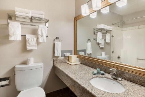 a bathroom with a toilet and a sink and a mirror at Best Western Indian Oak in Chesterton