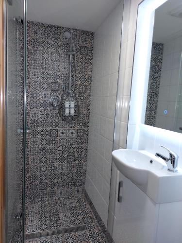 a bathroom with a shower and a sink at Mulranny Bay Apartment in Mulranny