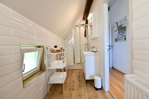 a bathroom with a sink and a mirror at MY WAY apartman i sobe in Saborsko