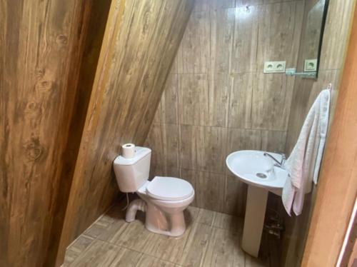 a bathroom with a toilet and a sink at A Frame Cottage in Varjanisi - Batumi in K'eda