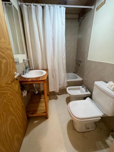 alojamiento Chaltén Mountain Lofts 2 El Chaltén