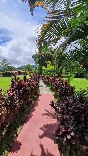 Gallery image of Hotel Canto de Ballenas in Uvita