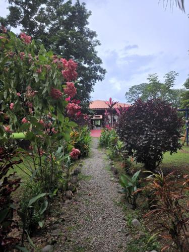 Gallery image of Hotel Canto de Ballenas in Uvita