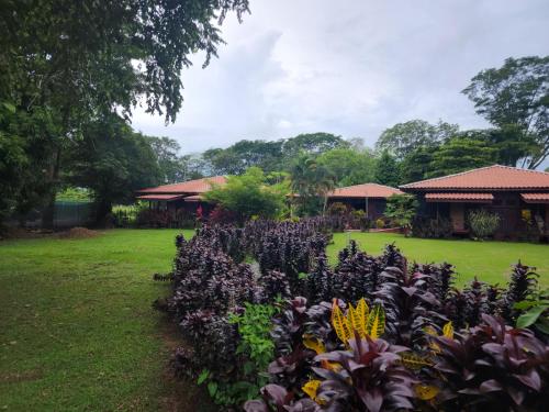 Gallery image of Hotel Canto de Ballenas in Uvita