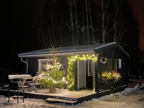 a small cabin with christmas lights on it at night at Ragaciema Skadiņi in Ragaciems
