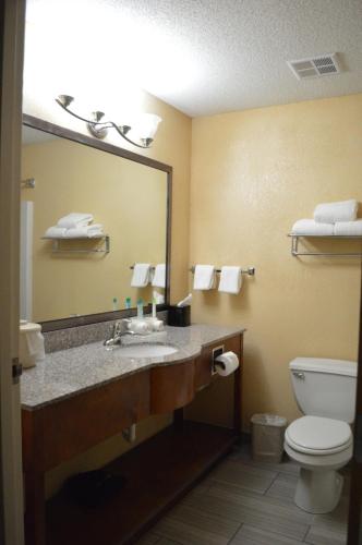 a bathroom with a sink and a mirror and a toilet at First Choice Inn at the Swell in Green River