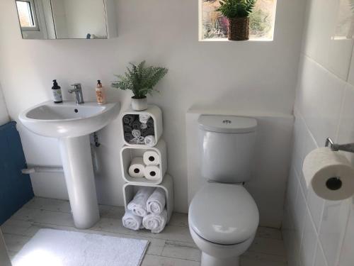 a white bathroom with a toilet and a sink at Homely Victorian Terraced Town House with Parking. in Taunton
