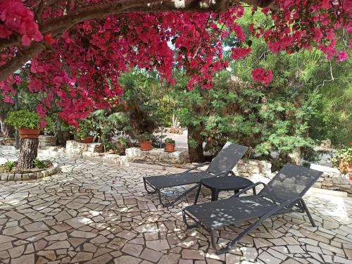 two chairs sitting on a stone patio with flowers at villa Beatrice in Serranova
