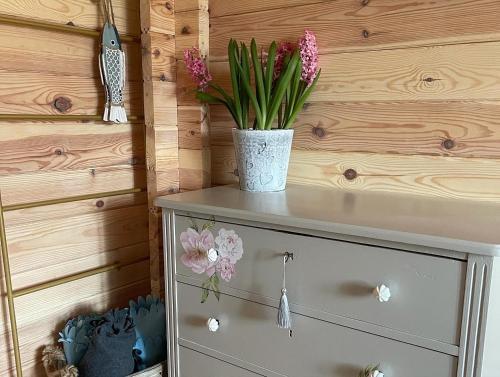 a vase of flowers sitting on top of a dresser at Ragaciema Skadiņi in Ragaciems