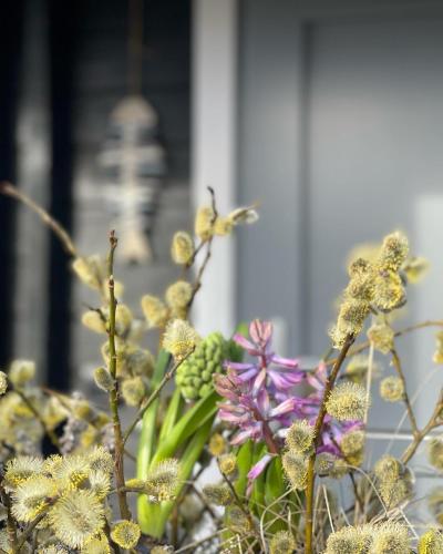 a bunch of flowers in front of a building at Ragaciema Skadiņi in Ragaciems