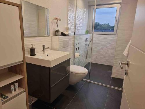 特羅斯多夫的住宿－Apartment near Bonn/Cologne with nature access，浴室配有卫生间、盥洗盆和淋浴。