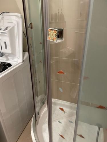 a shower with a glass door with fish on the floor at Gruissan les MARINES II in Gruissan
